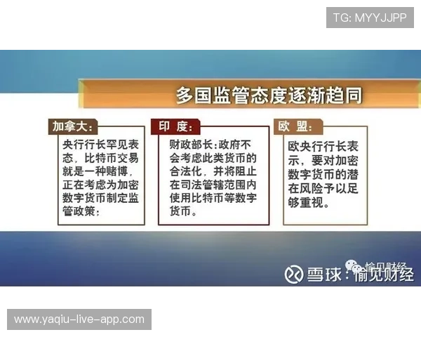 稳胆的意思 彩票数字高频玩法防骗避坑指南 稳胆的意思 彩票数字高频玩法防骗避坑指南
